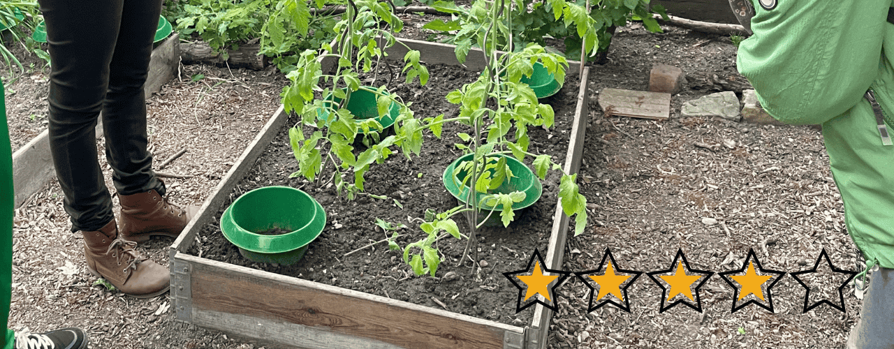 Schneckenkraken gegen Nacktschnecken