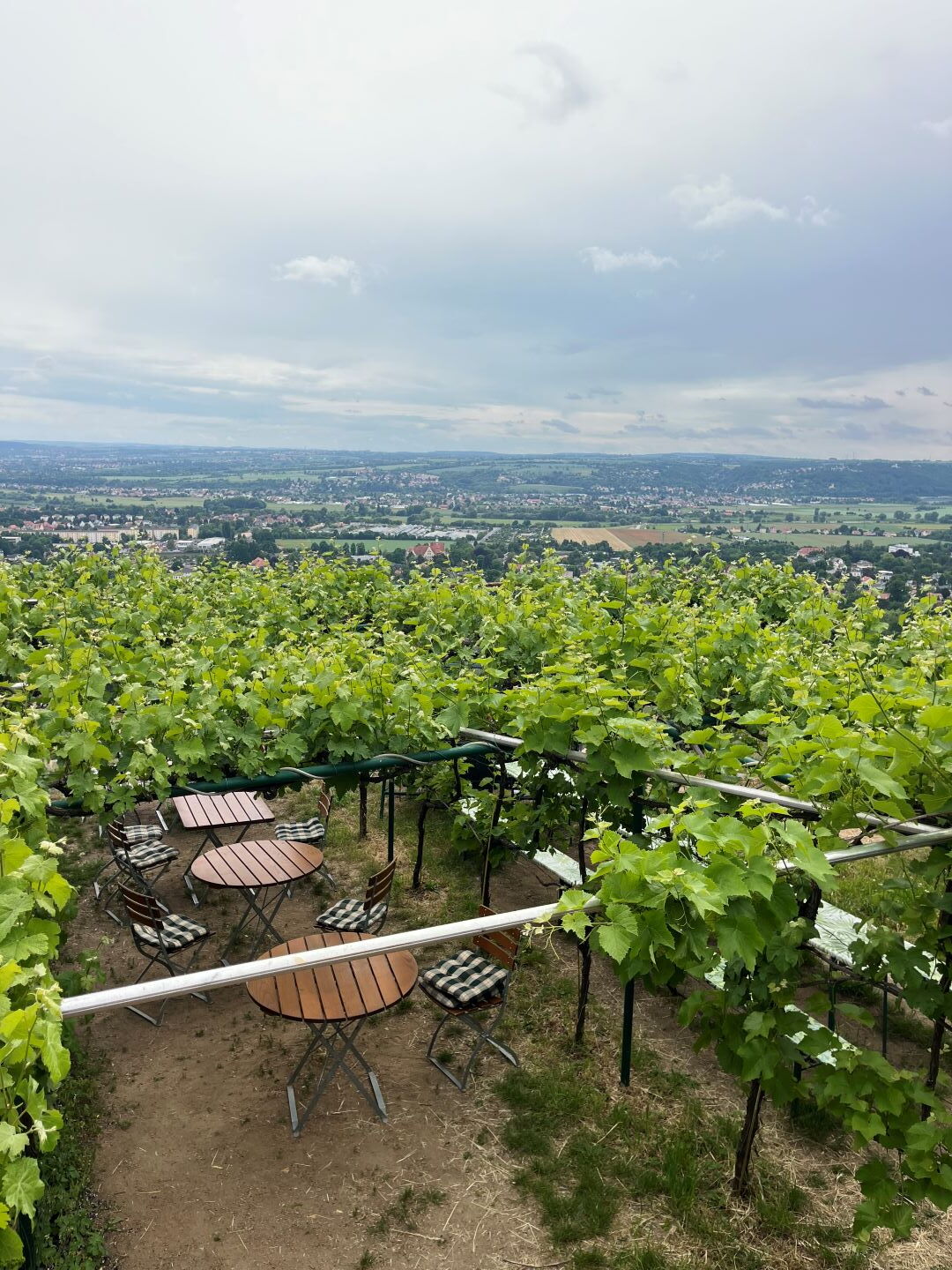 Blick über eine Terrasse mit Tischen und Stühlen unter Weinreben auf eine weite Landschaft mit Feldern und Ortschaften unter bewölktem Himmel