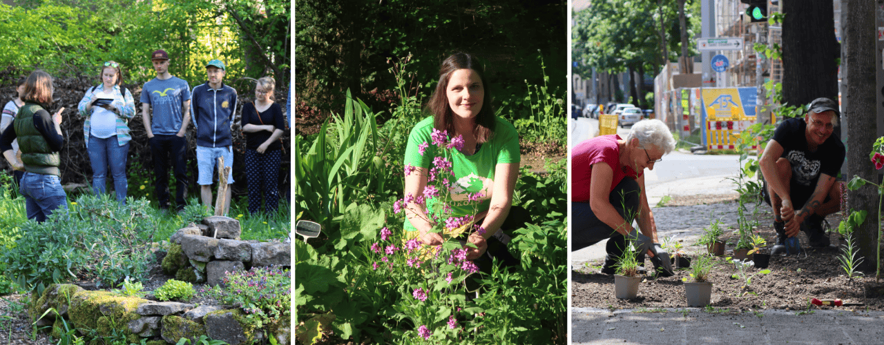 Bundesfreiwilligendienstleistende des Ökolöwen im Einsatz