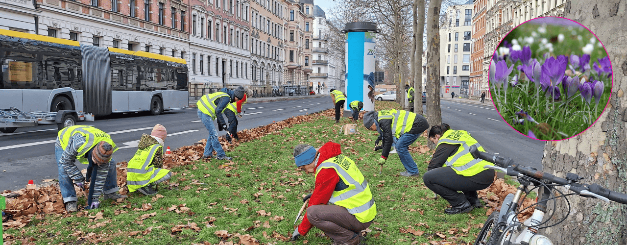 Menschen stecken Frühblüher