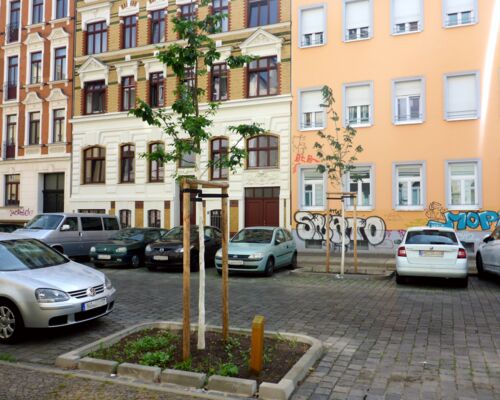 Neue Straßenbäume im Leipziger Süden