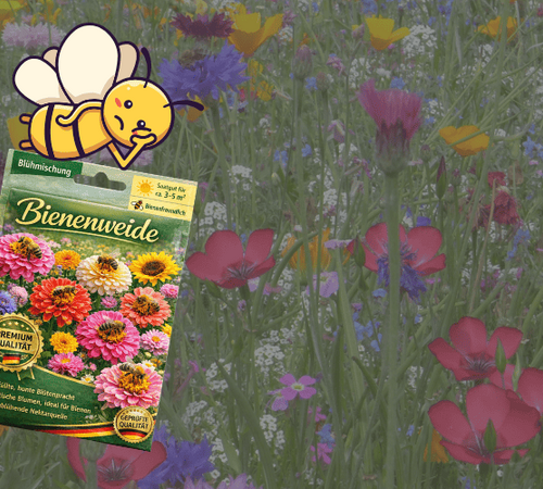 Traurige Biene auf Saatgutpackung, die verspricht insektenfreundlich zu sein, im Hintergrund sieht man bunte, aber für Insekten nutzlose Blühpflanzen