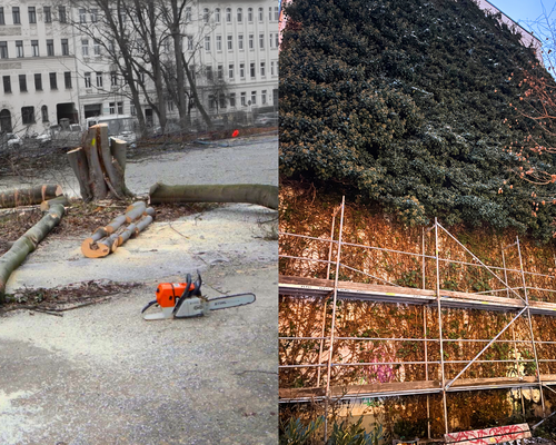 Ein gefällter Baum liegt zerstückelt auf dem Boden irgendwo in Leipzig, daneben eine Motorsäge