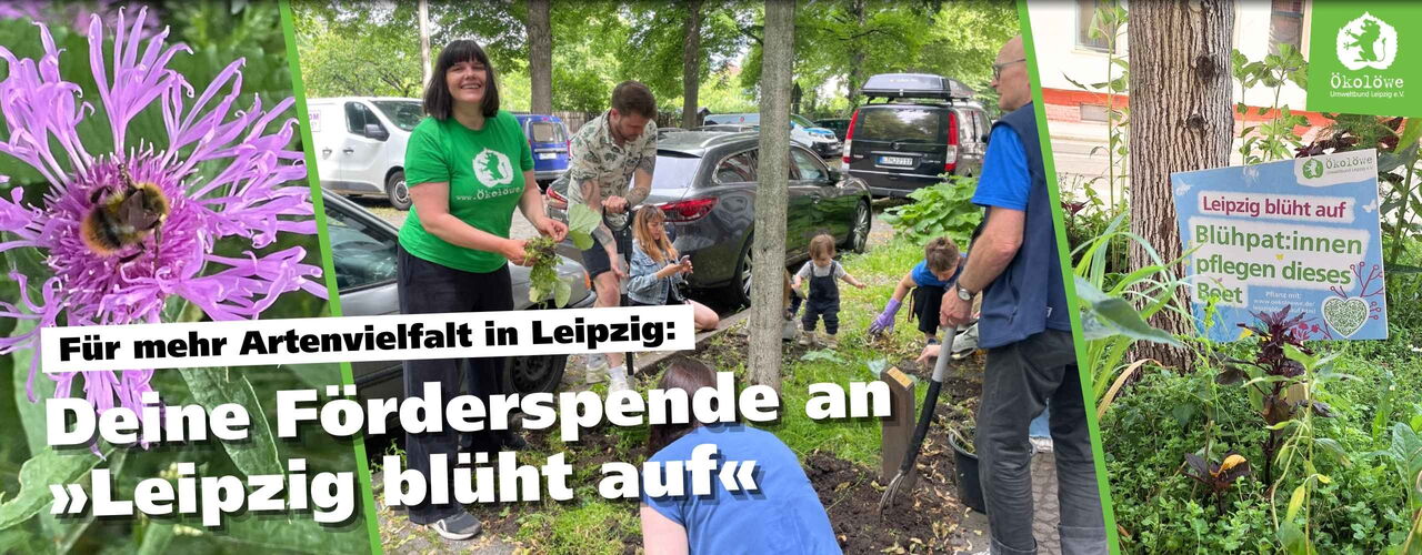 Einladung das Projekt "Leipzig blüht auf" mit einer Förderspende zu unterstützen