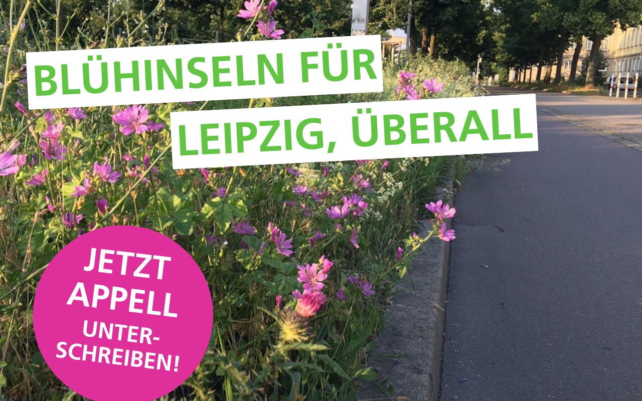 Blühinseln für Leipzig, überall; Jetzt Appell unterschreiben!; Bild zeigt blühenden Straßenrand