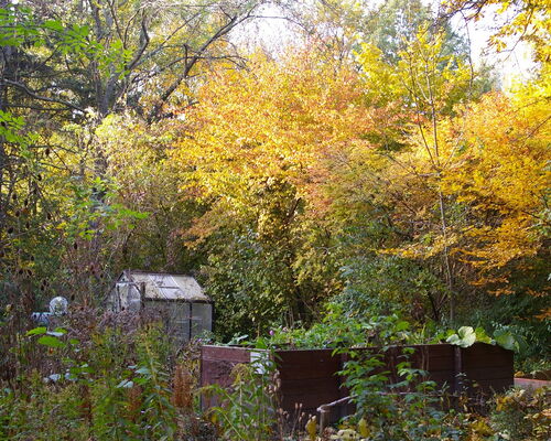 Kompost als Igelbude im Stadtgarten Connewitz