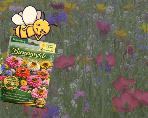 Traurige Biene auf Saatgutpackung, die verspricht insektenfreundlich zu sein, im Hintergrund sieht man bunte, aber für Insekten nutzlose Blühpflanzen