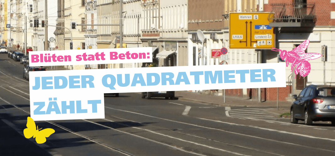 Eine betonreiche Straße mit wenig Bäumen und Blühpflanzen. Eine Wildbiene fordert: mehr Blüten - weniger Beton!