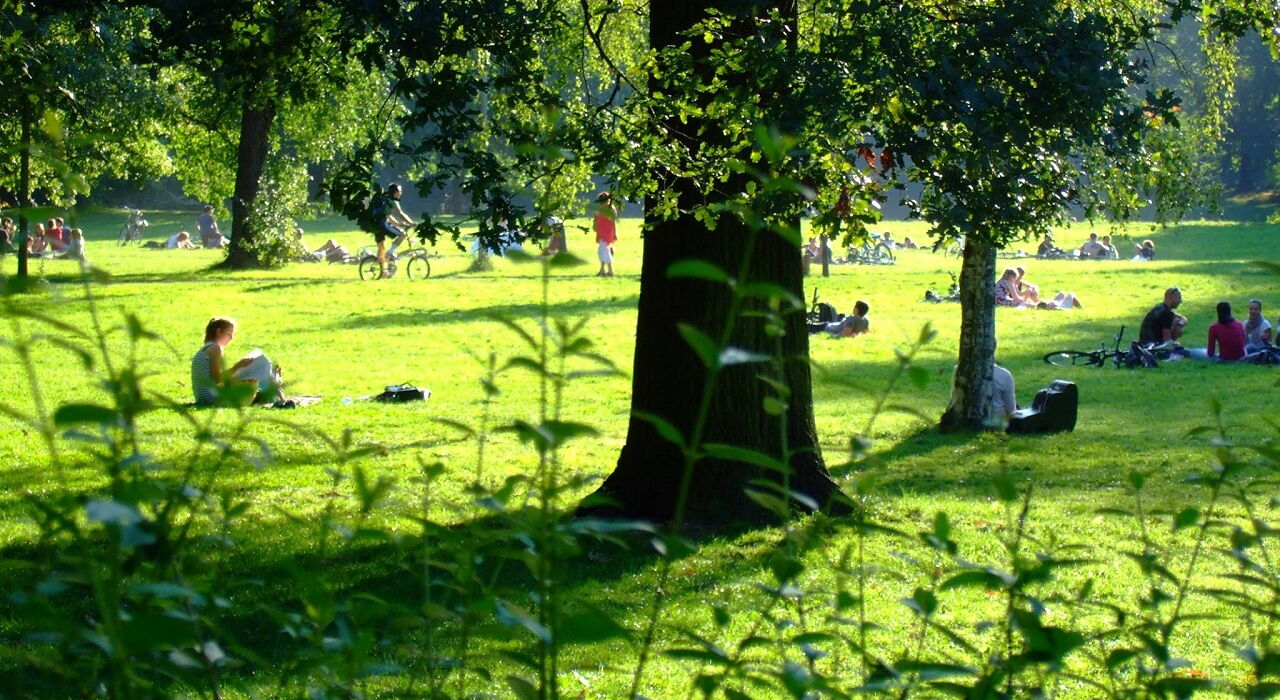 Menschen sitzen und liegen auf einer sonnigen Wiese unter Bäumen in einem Park