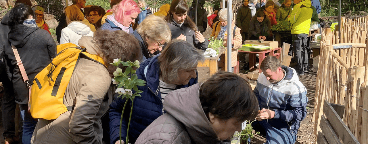 Jungpflanzentausch Stadtgarten Connewitz