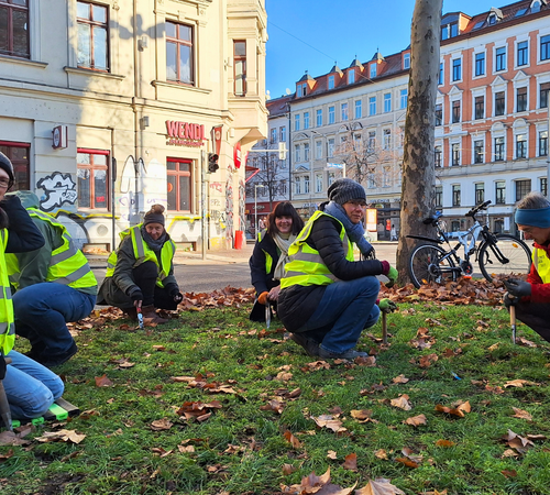 Menschen beim Frühblüher-Stecken