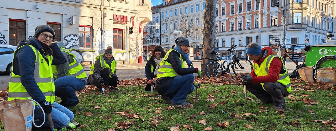 LeipzigerInnen stecken Frühblüher