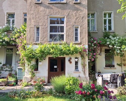 Fassaden von Altbauwohnung mit blühenden Kletterpflanzen und einem kleinen Garten mit bunten Blumen