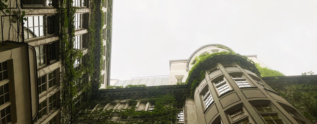 Begrünung in der Leipziger Innenstadt