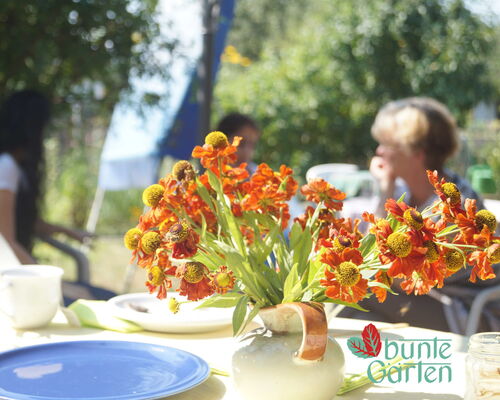 Gedeckter Tisch mit Blumenstrauß und Menschen im Hintergrund (c) Bunte Gärten Leipzig e.V.