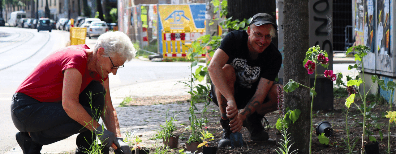Leipziger:innen bepflanzen eine Baumscheibe.