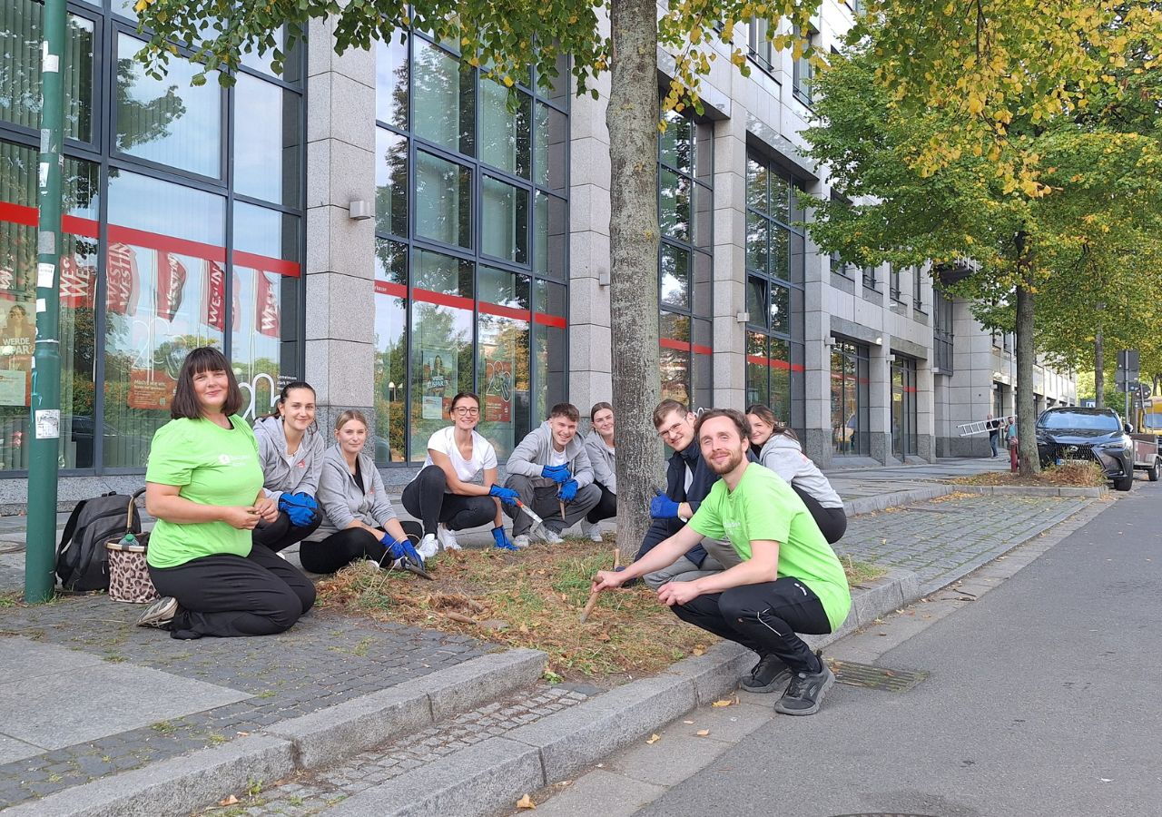 Gruppe von Menschen kniet auf einem Gehweg vor einem Gebäude und pflanzt Frühblüher in ein Beet