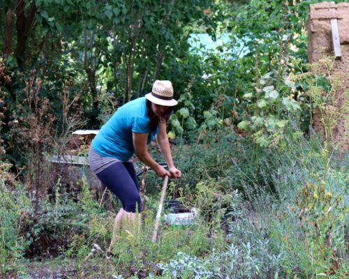 Gartenarbeit im Gemeinschaftsgarten