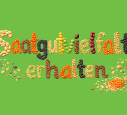 mit Saatkörnern geschrieben steht: Saatgutvielfalt erhalten