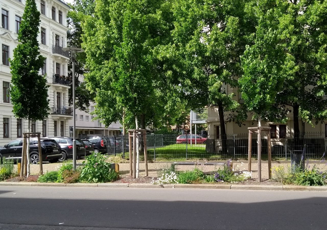 Baumbeet mit mehreren jungen Bäumen und niedrigem Bewuchs vor mehrstöckigen Wohnhäusern an einer Straße