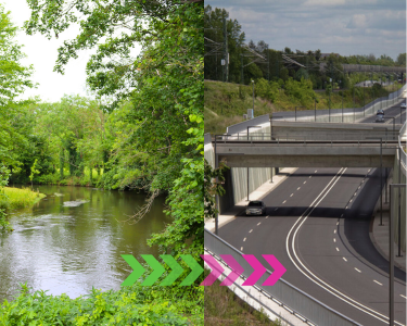 Weißte Elster links und Schnellstraße rechts