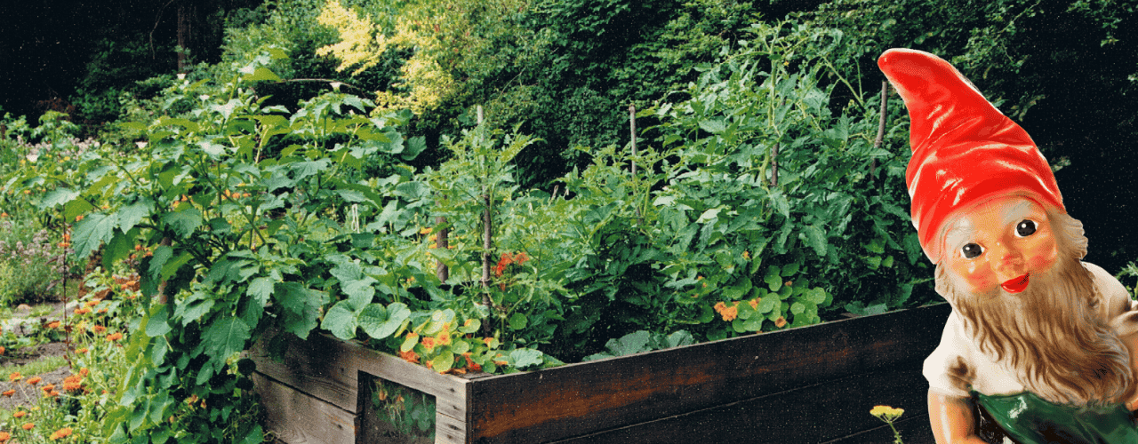 Gartenzwerg in einem Naturgarten