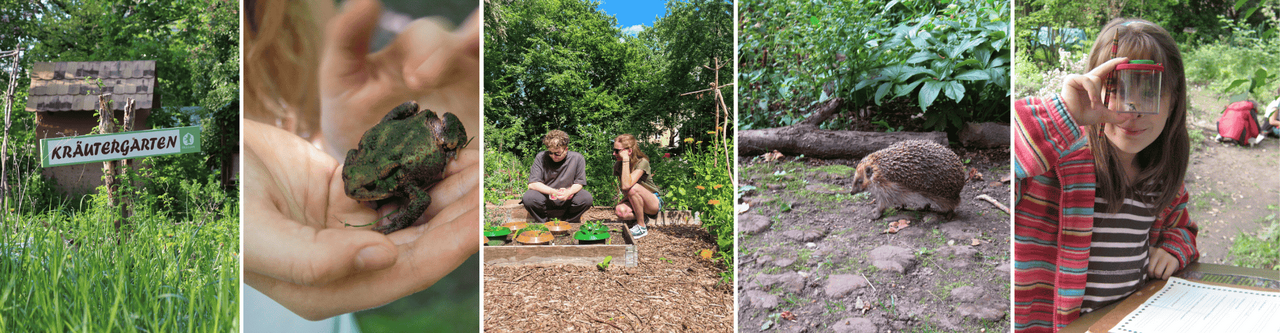 Klein und Groß können im Stadtgarten Connewitz auf Wildtier-Safari gehen