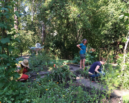 Gemeinschaftsgärtner:innen arbeiten im Stadtgarten Connewitz