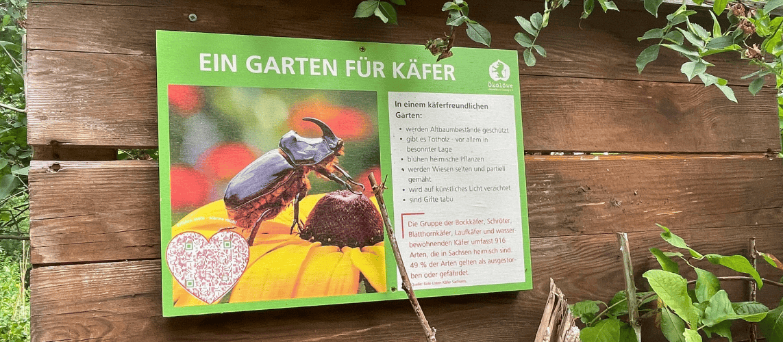 Ein Garten für Käfer-Infoschild im Stadtgarten Connewitz