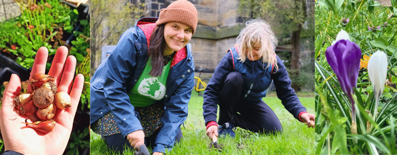 Leipziger beim gemeinsamen Frühblüherstecken