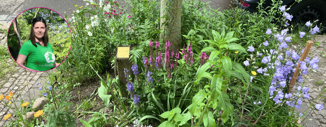 Bepflanztes Baumbeet und Projektleitung Antje