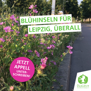 Blühinseln für Leipzig, überall