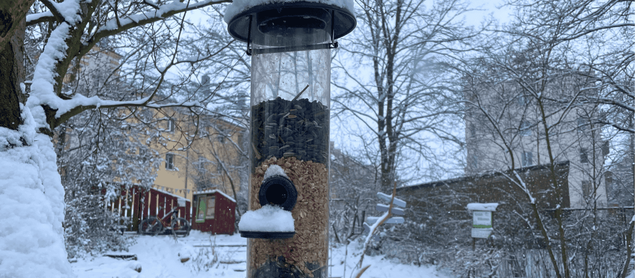 Vogelfuttersäule im Stadtgarten Connewitz