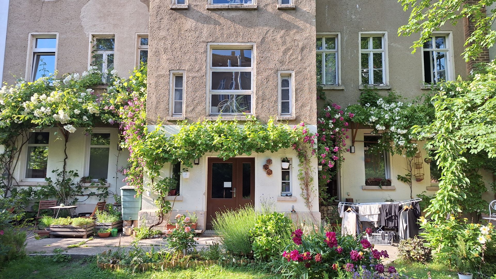 Fassaden von Altbauwohnung mit blühenden Kletterpflanzen und einem kleinen Garten mit bunten Blumen
