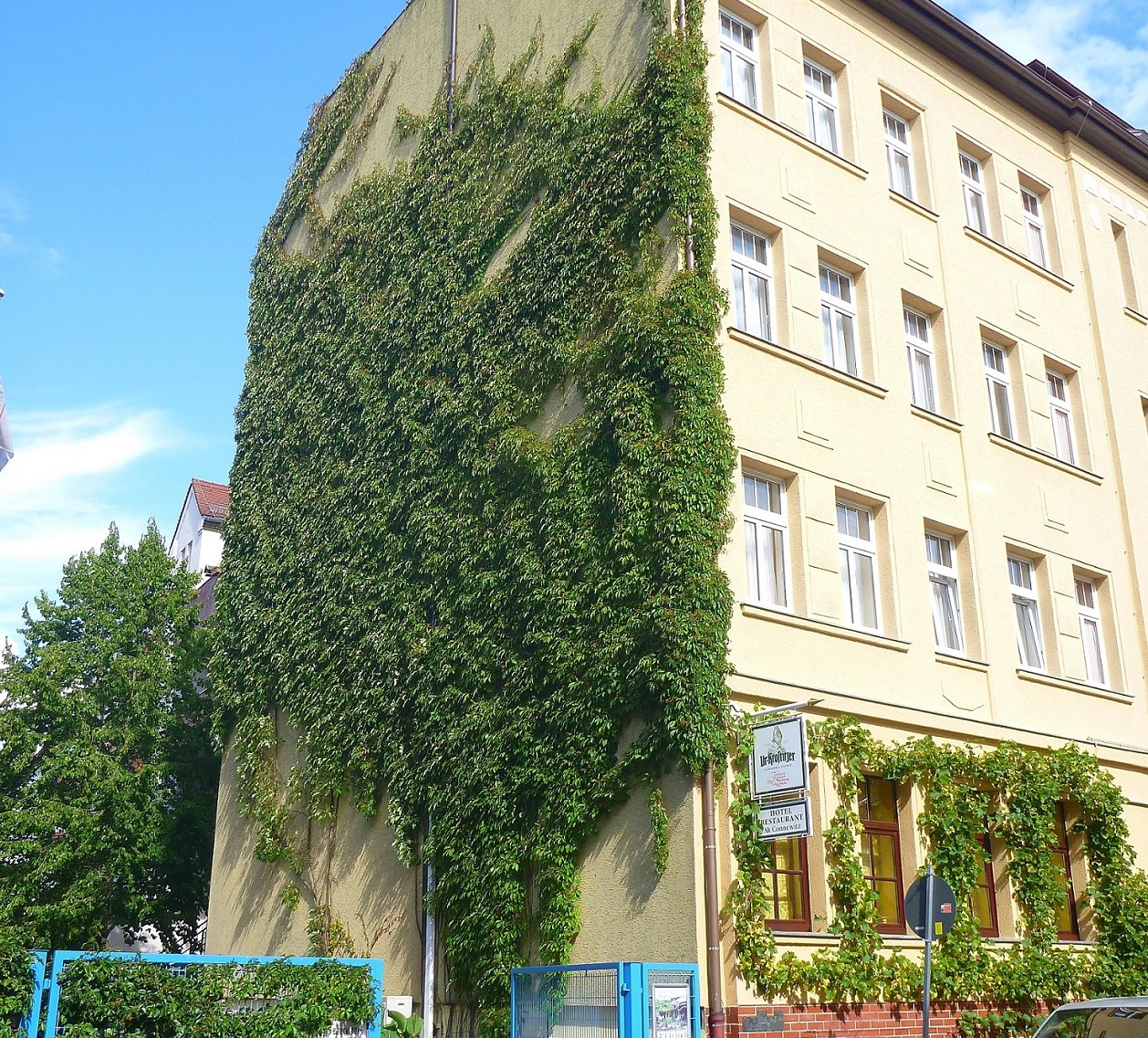 Das Hotel Alt-Connewitz mit einer grünen Giebelwand