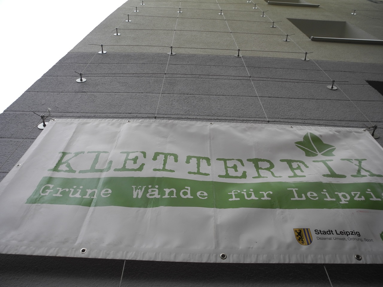 Rankgerüste an einer Leipziger Giebelwand