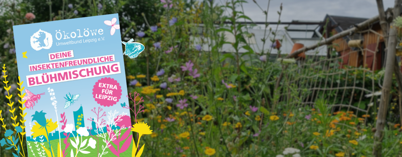 Deine insektenfreundliche Blühmischung, Extra für Leipzig; Bild zeigt Blühfläche in einem Kleingarten mit der Saatgut-Tüte der Aktion