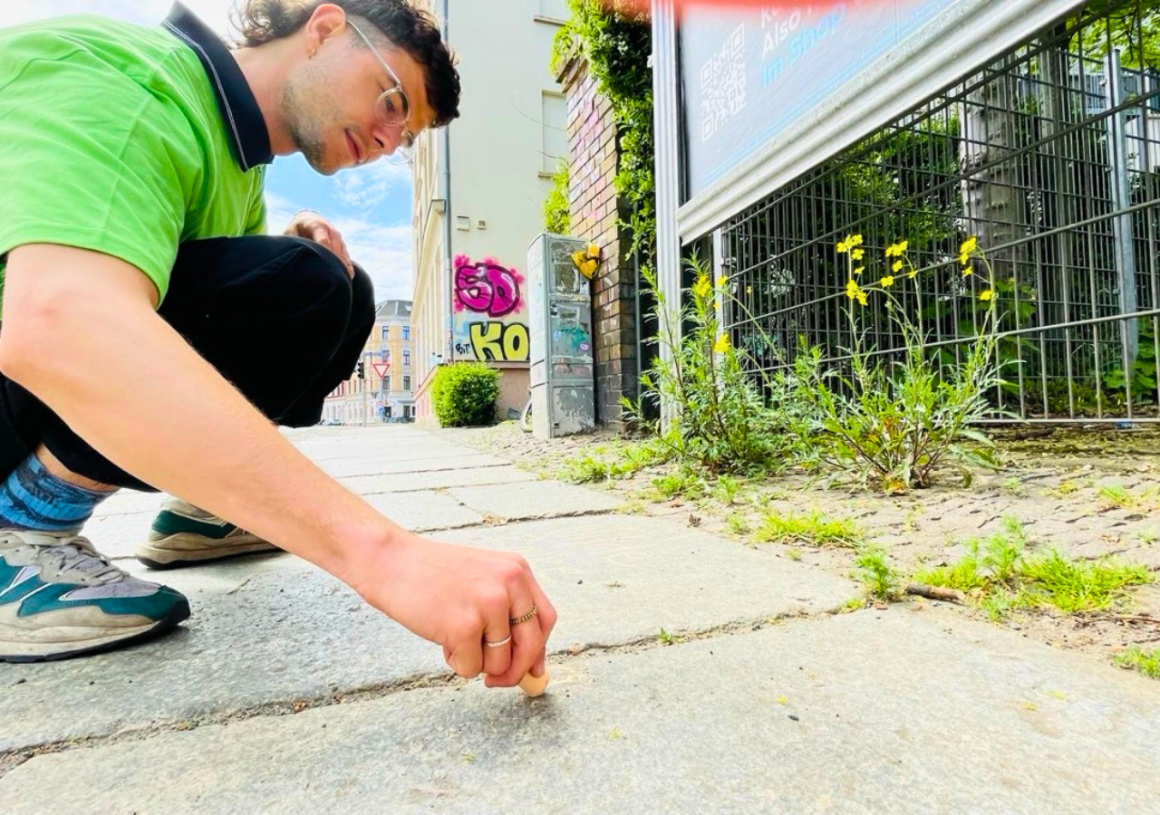 Seifenkraut blüht neben der Tram-Schiene.
