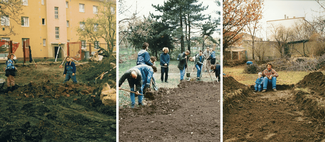 Anfang der Neunziger Jahre wurden im Stadtgarten Connewitz die Strukturen geschaffen, die ihn bis heute gartengestalterisch ausmachen.