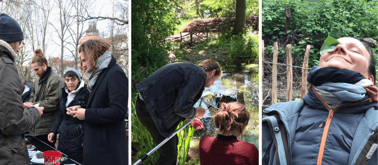 Ob fürs Saatguttütenfalten mit der Band Milky Chance, eine Wildtiersafari oder Erholung pur, wie hier mit Lindenblatt-Eye Patches: Ein Besuch im Stadtgarten Connewitz lohnt immer!