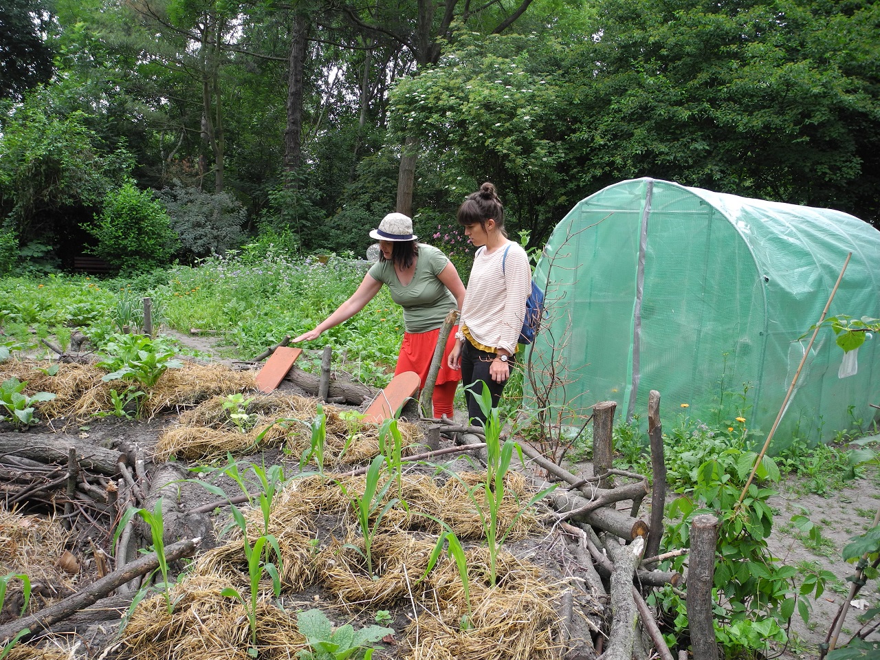 Mulchwürste auf einem Beet im Stadtgarten Connewitz Mulchwürste auf einem Beet im Stadtgarten Connewitz