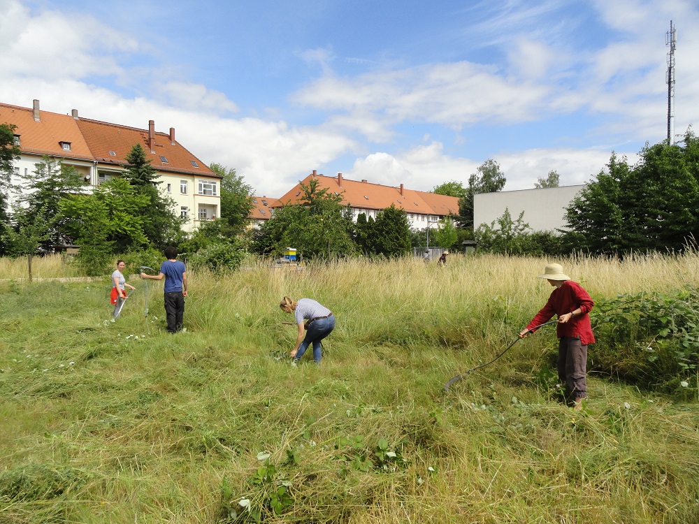 Mitglieder der AG Naturschutz bei der Mahd Mitglieder der AG Naturschutz bei der Mahd in Leipzig