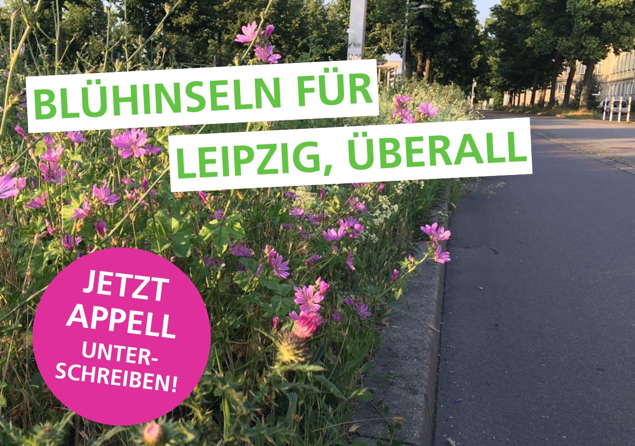 Blühflächen am Straßenrand mit dem Aufruf, den Appell Blühinseln für Leipzig, überall zu unterzeichnen