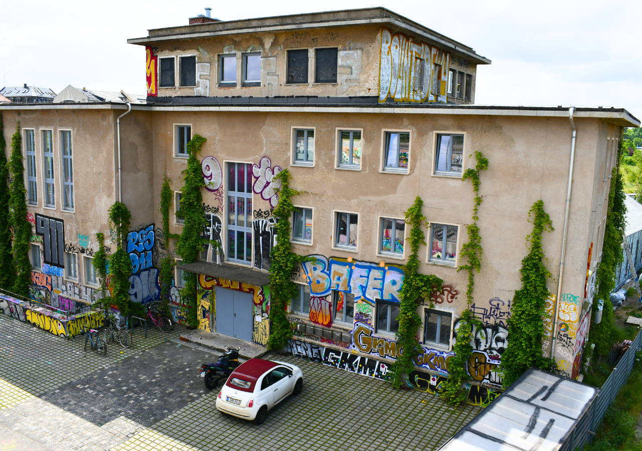 Kletterpflanzen sind wahre Alleskönner. Sie bieten viele Vorteile für Haus & Stadt und nehmen kaum zusätzlichen Platz in Anspruch.