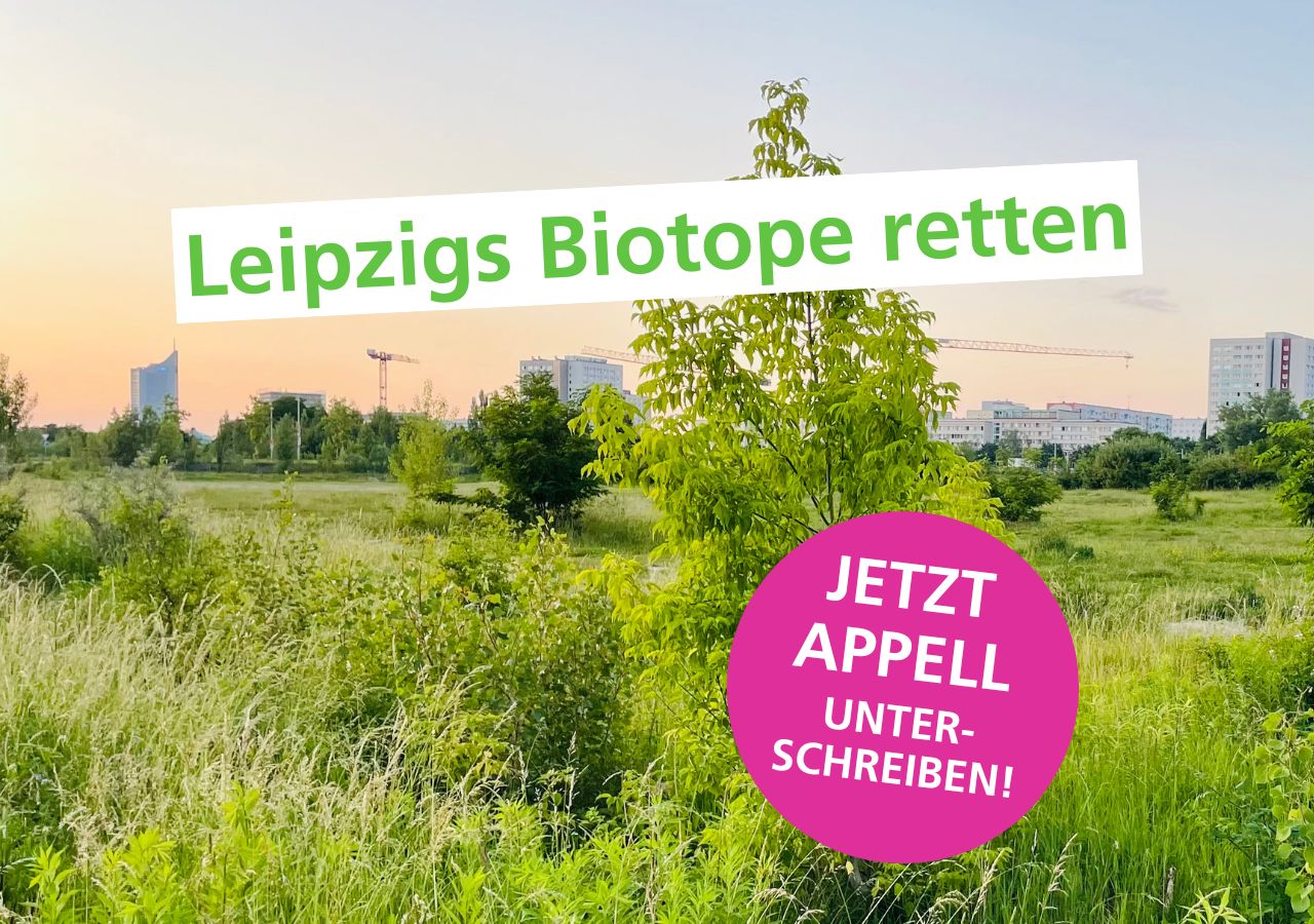 Grün auf der Brache am MDR mit dem Aufruf, den Appell zur Biotoprettung zu unterzeichnen