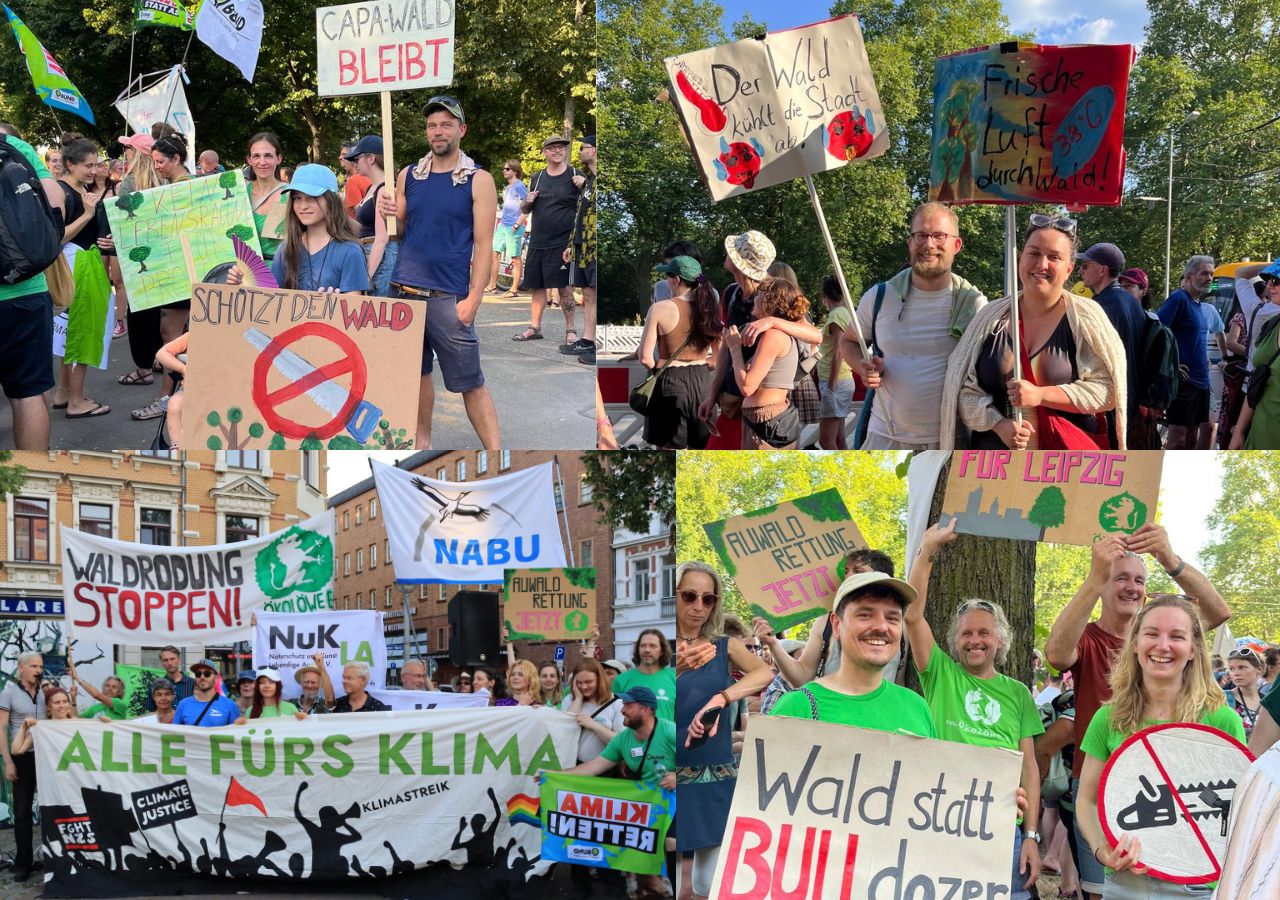 Viele Menschen mit Schildern auf der Demo gegen Waldrodung