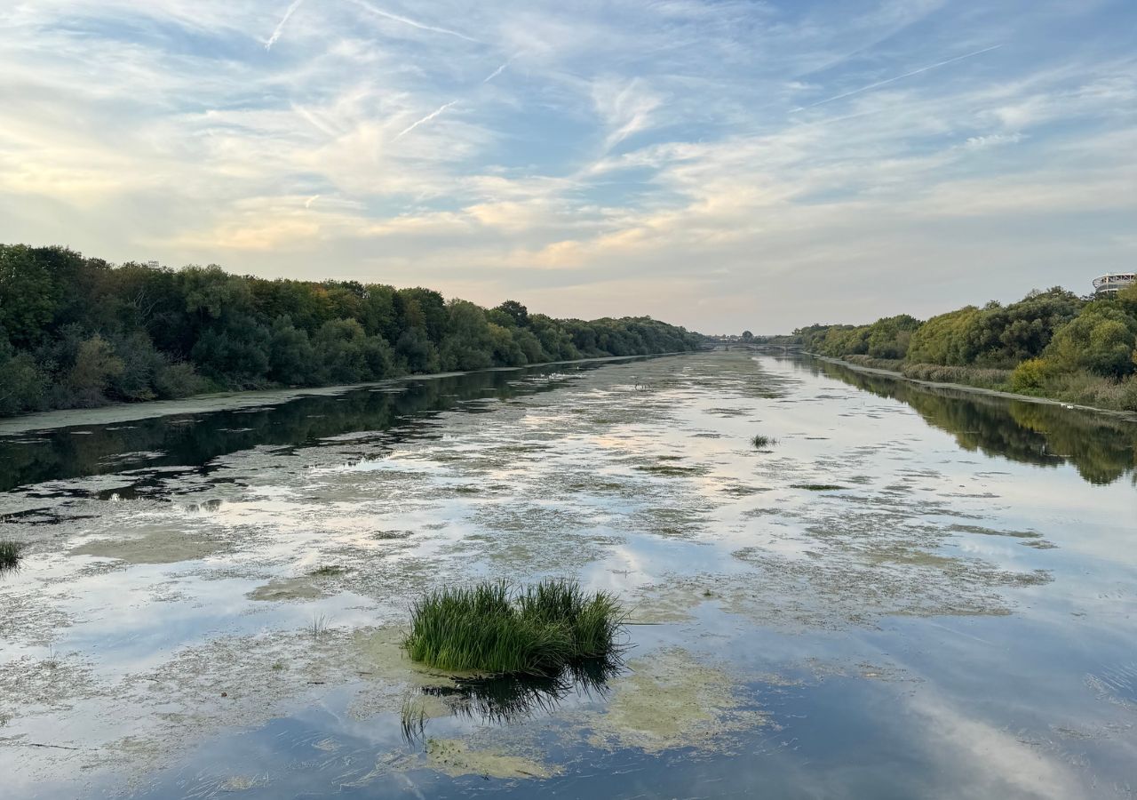 Elsterbecken mit natürlichen Inseln