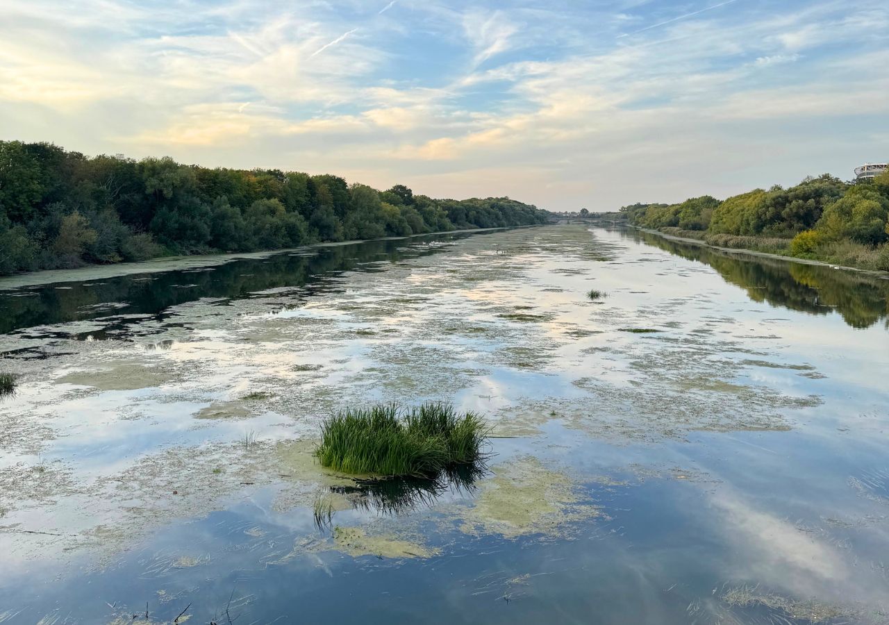 Elsterbecken mit natürlichen Inseln
