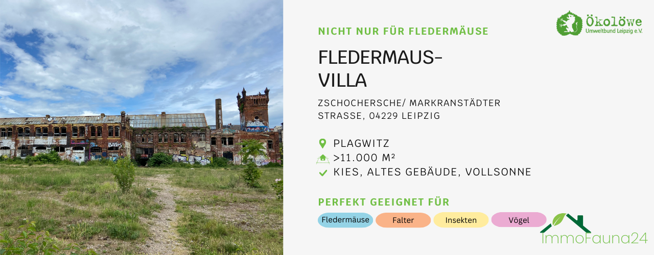 Ruine in Plagwitz