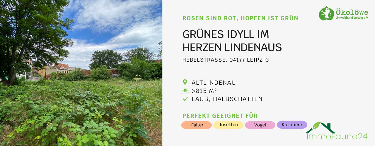 Brache in Lindenau